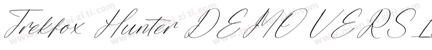 Trekfox Hunter DEMO VERSION Italic字体转换